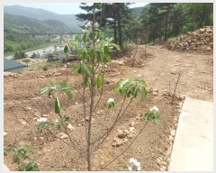  2024Ÿ��1513  �Ӿ߰��