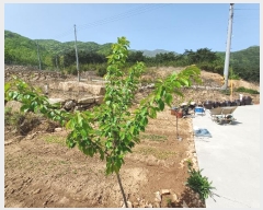  2024Ÿ��1513  �Ӿ߰��