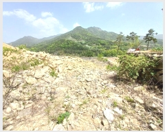  2024Ÿ��1513  �Ӿ߰��