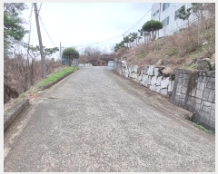  2024Ÿ1568 泲 ֽ  õ 77-8      