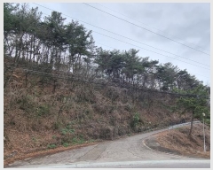  2024Ÿ1568 泲 ֽ  õ 77-8      