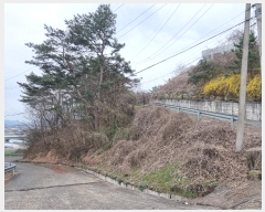  2024Ÿ1568 泲 ֽ  õ 77-8      