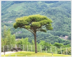  2024Ÿ��3175 �泲 �ϵ��� ȭ���� ��Ÿ� 630-8      ���ð��