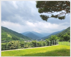  2024Ÿ��3175 �泲 �ϵ��� ȭ���� ��Ÿ� 630-8      ���ð��