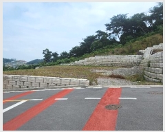  2024Ÿ��3397  �������