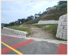  2024Ÿ��3397  �������