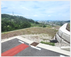  2024Ÿ��3397  �������