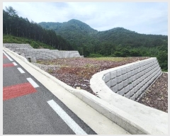  2024Ÿ��3397  �������