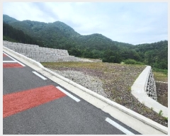  2024Ÿ��3397  �������