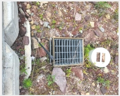  2024Ÿ��3397  �������