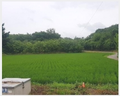  2024Ÿ3984 泲 ֽ Ϲݼ â̸ 456-2      (1)