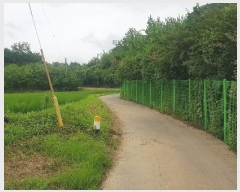  2024Ÿ3984 泲 ֽ Ϲݼ â̸ 456-2      (1)