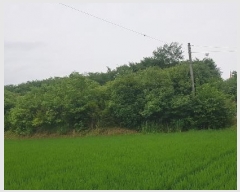  2024Ÿ3984 泲 ֽ Ϲݼ â̸ 456-2      (1)