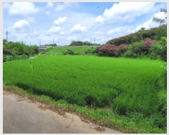  2024Ÿ3984 泲 ֽ Ϲݼ â̸ 456-2      (1)