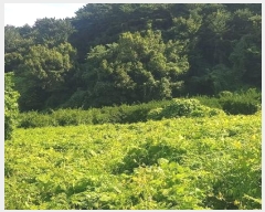  2024Ÿ��4086 �泲 ���ر� â���� ������ 722      ���ð��