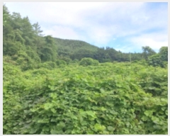  2024Ÿ��4086 �泲 ���ر� â���� ������ 700-3      ����(��1)���