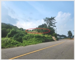  2024Ÿ4659 泲 ر õ ׸ 1321-2      (1)