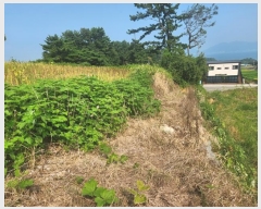  2024Ÿ4659 泲 ر õ ׸ 1321-2      (1)