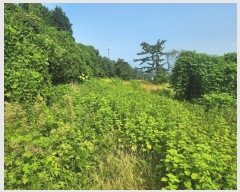  2024Ÿ4659 泲 ر õ ׸ 1321-2      (1)