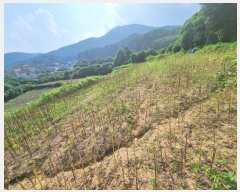  2024Ÿ4659 泲 ر õ ׸ 1321-2      (1)