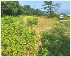  2024Ÿ4659 泲 ر õ ׸ 1321-2      (1)