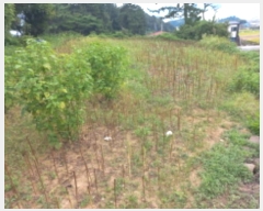  2024Ÿ4659 泲 ر õ ׸ 1321-2      (1)