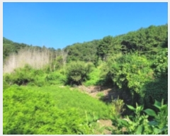  2024Ÿ4949 泲 ϵ 纸 캹 206      (1)