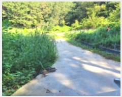  2024Ÿ4949 泲 ϵ 纸 캹 206      (1)