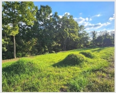  2024Ÿ��5072  �����