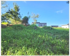  2024Ÿ��5072  �����