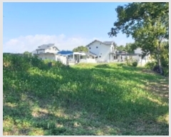  2024Ÿ��5072  �����