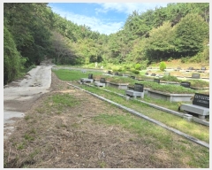  2024Ÿ��5126 �泲 ��õ�� ������ �ܱ��� 244      ����(��)���