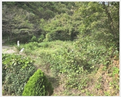  2024Ÿ��5126 �泲 ��õ�� ������ �ܱ��� 244      ����(��)���