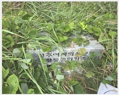  2024Ÿ��5126 �泲 ��õ�� ������ �ܱ��� 244      ����(��)���