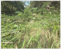  2024Ÿ��5126 �泲 ��õ�� ������ �ܱ��� 244      ����(��)���