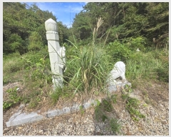  2024Ÿ��5126 �泲 ��õ�� ������ �ܱ��� 244      ����(��)���