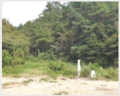  2024Ÿ��5126 �泲 ��õ�� ������ �ܱ��� 244      ����(��)���