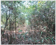  2024Ÿ��5270 �泲 ��û�� �žȸ� û���� ��8-7      ����(�Ӿ�)���