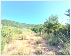  2024Ÿ��5270 �泲 ��û�� �žȸ� û���� ��8-7      ����(�Ӿ�)���