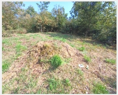  2024Ÿ��5270 �泲 ��û�� �žȸ� û���� ��8-7      ����(�Ӿ�)���