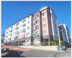  2024Ÿ5591 泲 õ õ  43, 2204ȣ     ټ,