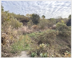  2024Ÿ��5911  ����