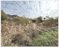  2024Ÿ��5911  ����