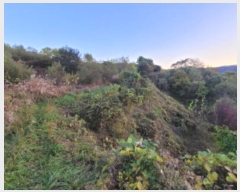  2024Ÿ��5911  ����