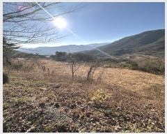  2024Ÿ��6211 �泲 ��û�� �žȸ� �ܼ۸� ��15-6      ����(�Ӿ�)���