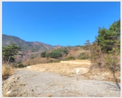  2024Ÿ��6211 �泲 ��û�� �žȸ� �ܼ۸� ��15-6      ����(�Ӿ�)���