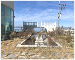  2024Ÿ��6259  �󰡰��