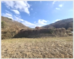  2024Ÿ6303 泲 ر   563-1      (1)