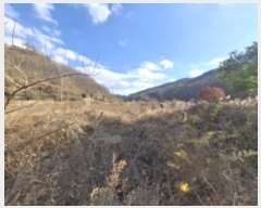  2024Ÿ6303 泲 ر   563-1      (1)