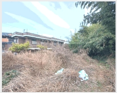  2024Ÿ6433 泲 ֽ 絿 442       ()